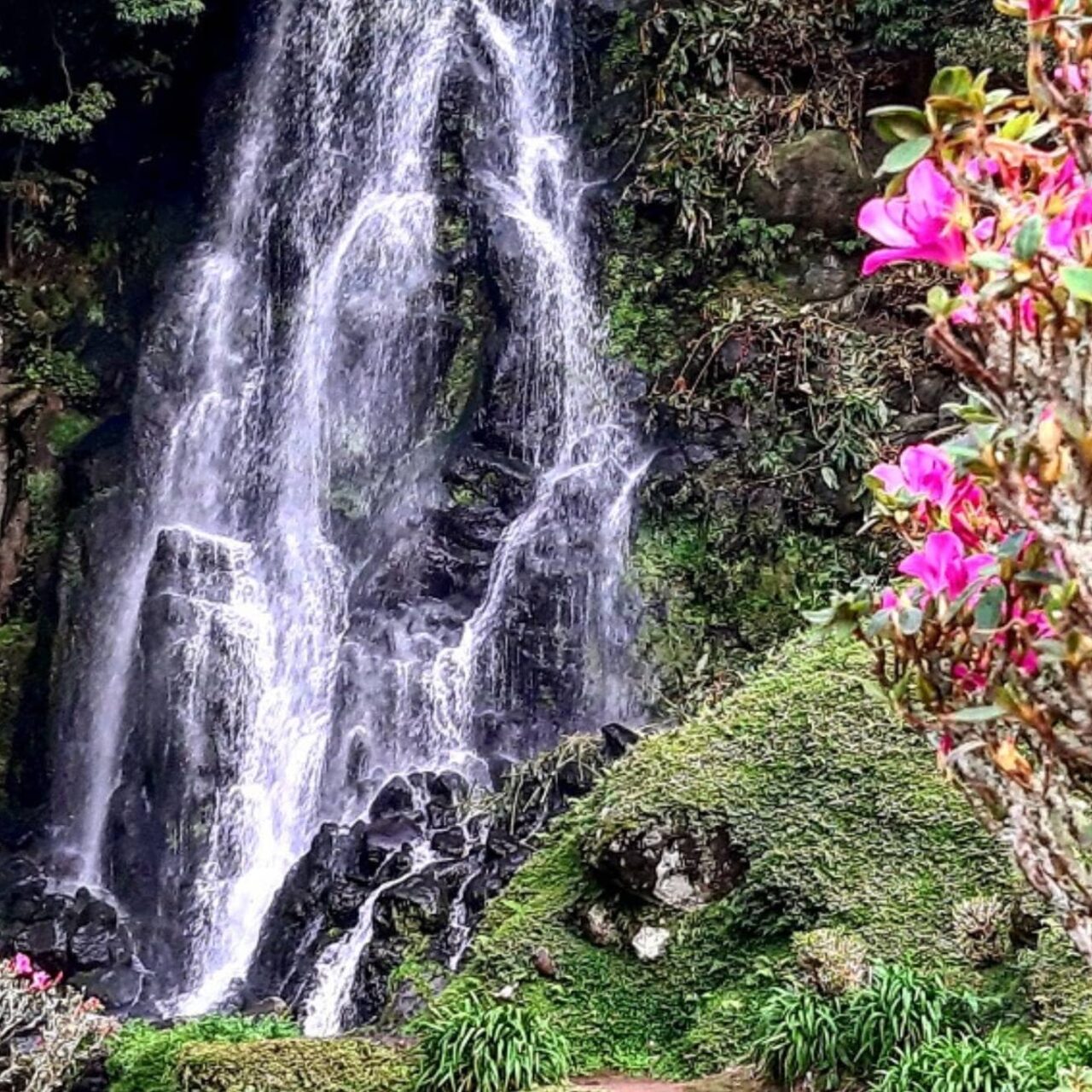 Nordeste Ribeira dos Caldeirões