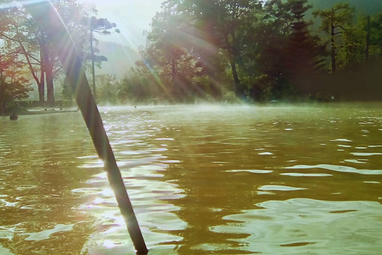 Terra Nostra thermal pool tour
