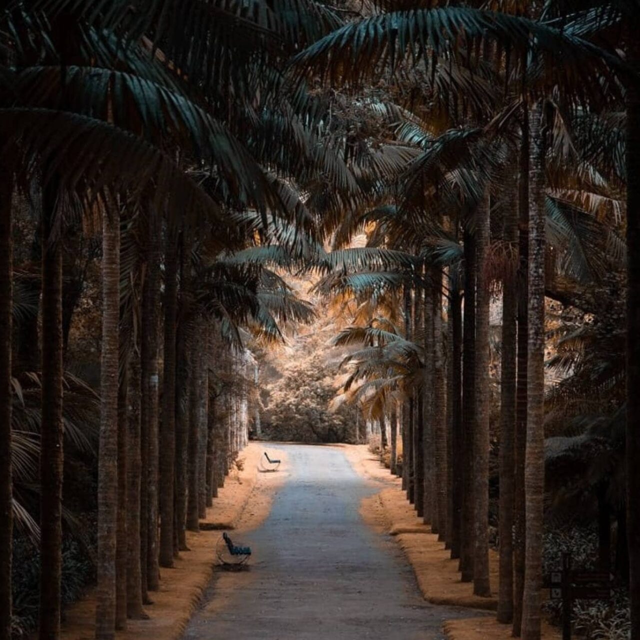 Terra Nostra botanical garden